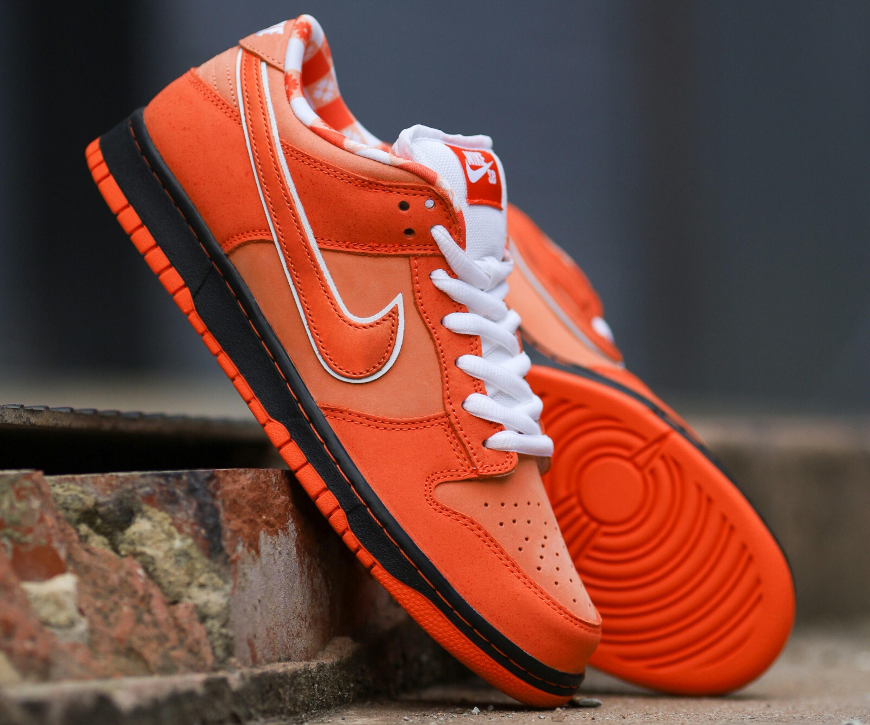 nike sb dunk orange lobster